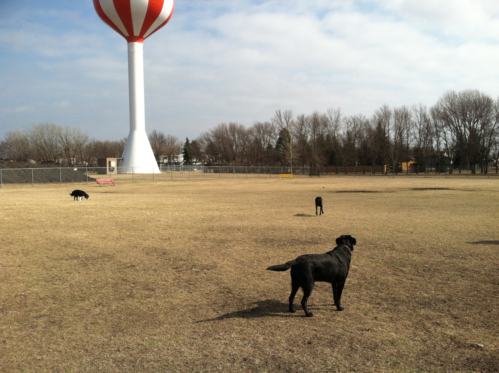 Yunker Farm Park & Dog Park Fargo Parks