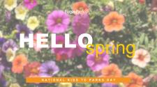 background picture is of a large bunch of petunia flowers in light and dark purple, magenta, yellow and orange. In the forefront: the Fargo Park District logo - HELLO spring - National Kids to Parks Day
