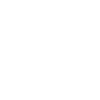 Light Bulb Icon