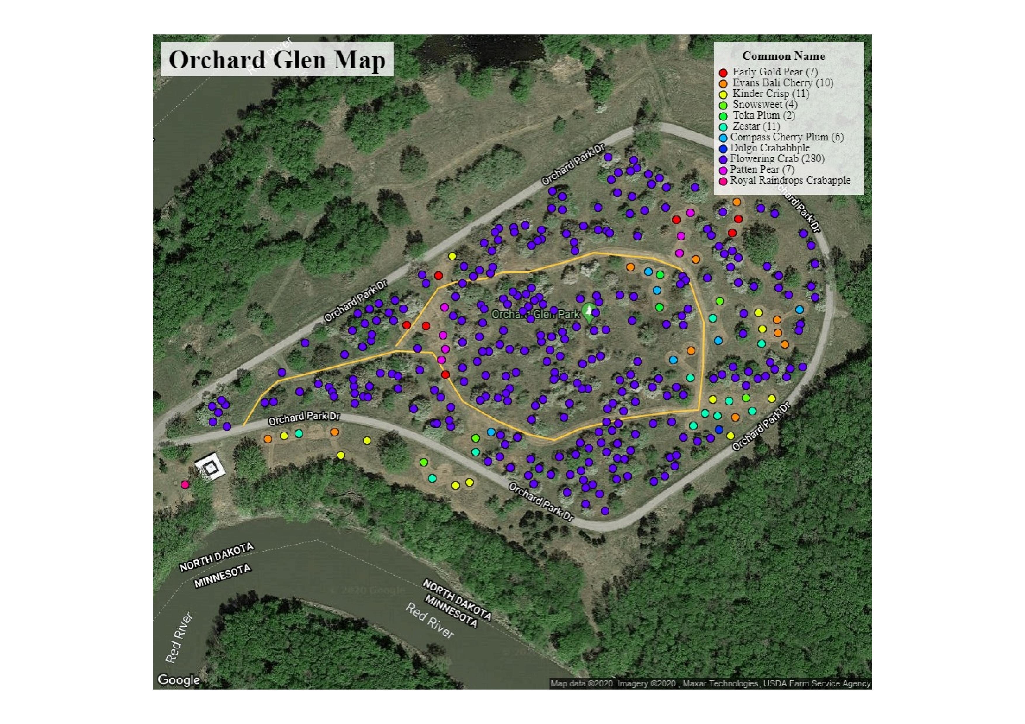 This image shows the Orchard Glen Park map and tree variety's. 