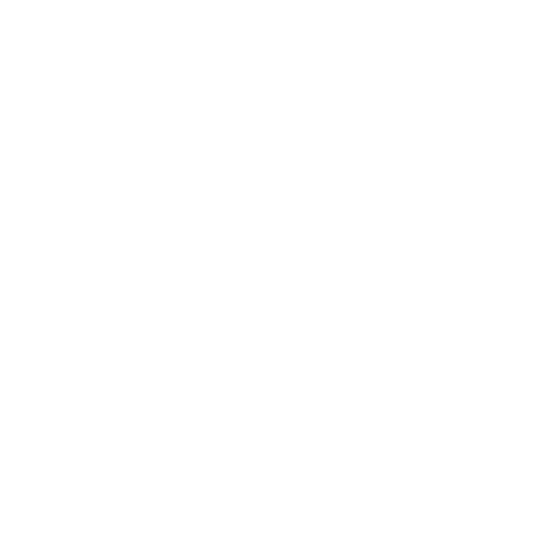 Light Bulb Icon