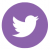white twitter icon with purple background