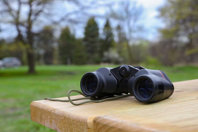 birding3 Photo shows binoculars on picnic table.