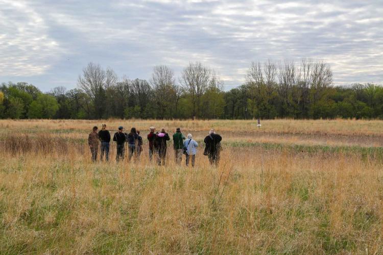 birdingphoto Photo shows people standing in field looking for birds.