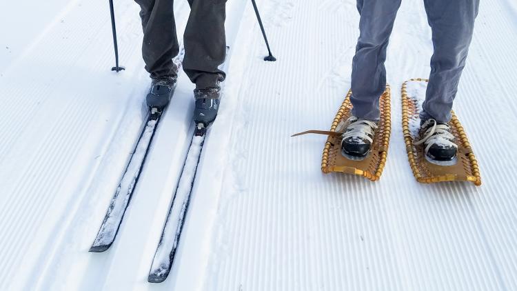 This image shows a cross country skis and snowshoes on a Fargo Parks trail.