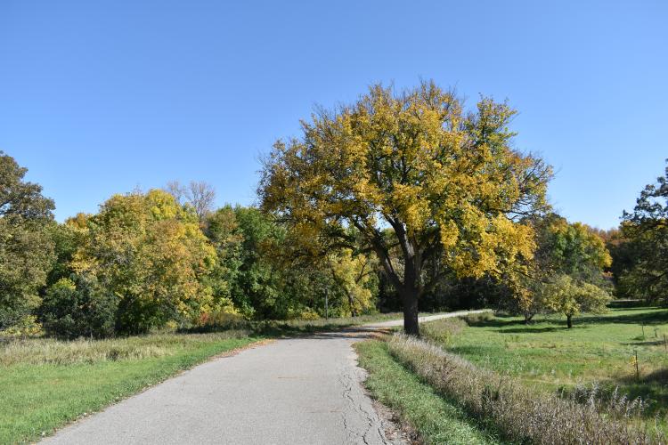 Orchard Glen Park Fargo Parks
