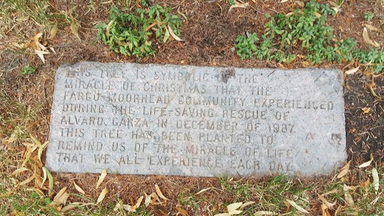 alvarogarzatreeplaquememorials This image shows the plaque for a tree memorial dedication.