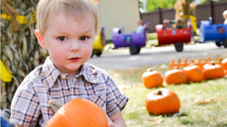 This image shows a boy holding a pumpkin at Fall in Fargo.