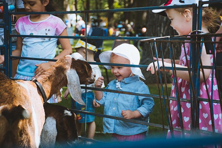 This image shows two girls looking at the goats at Midwest Kids Fest.