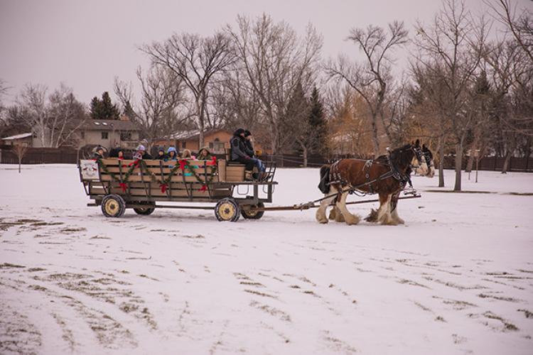 santavillage3 This image shows the horse-drawn carriage ride at Santa Village.