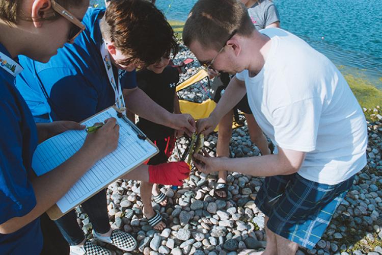 troutfest This image shows a boy's fish getting measured during Trout Fest.