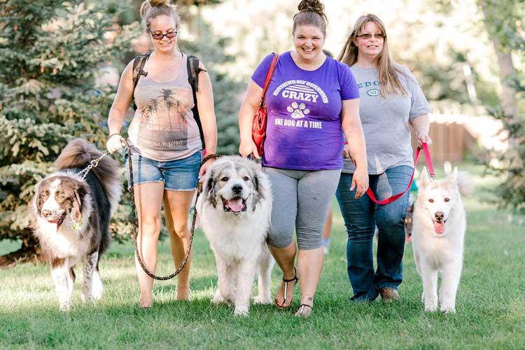 Photo shows women walking their dogs on leashes.