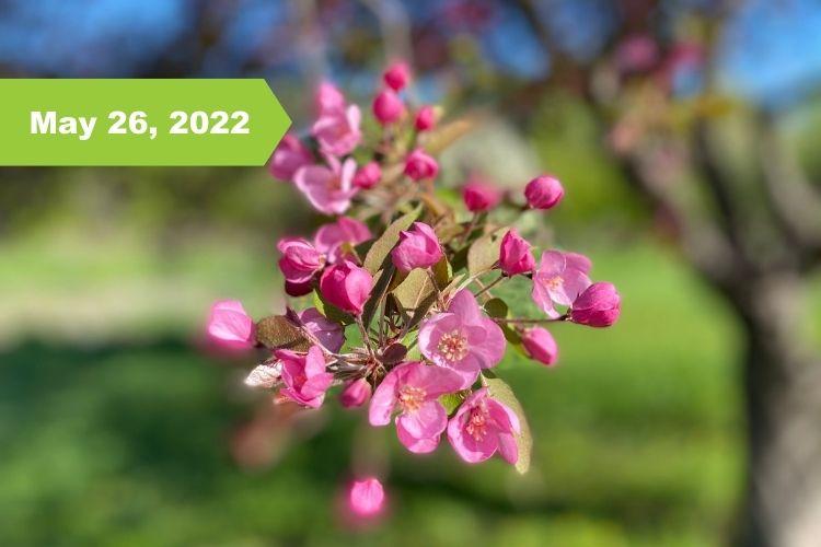 Orchard Glen Park Bloom Tracker Fargo Parks