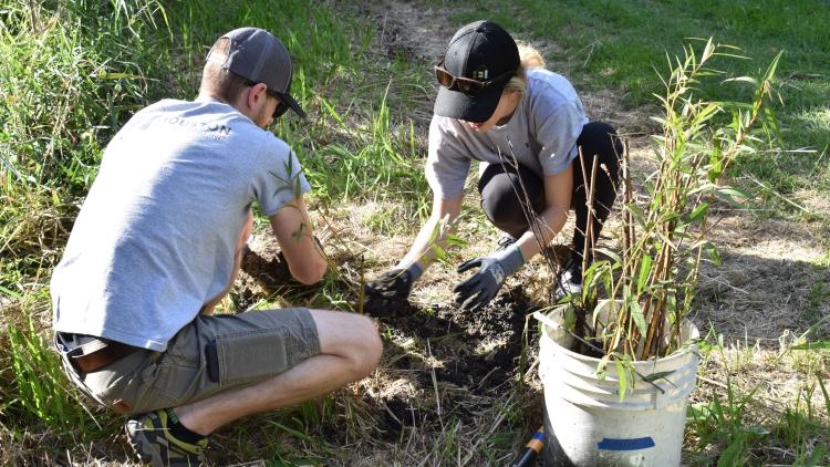 Volunteers - Reforest the Red Two volunteers planting trees in park.
