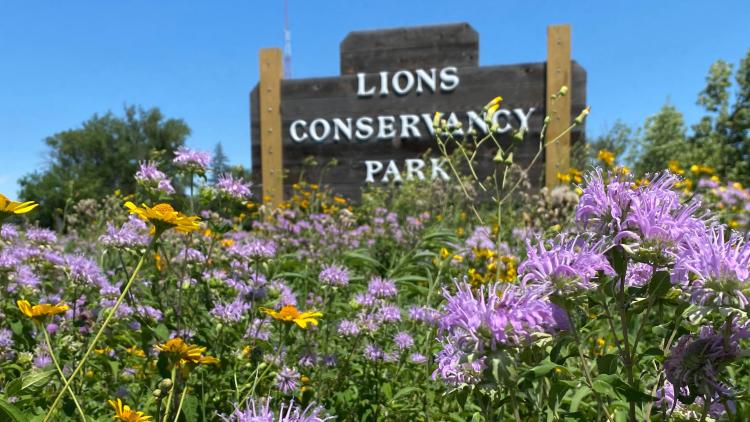 Lions conservancy pollinator garden Lions Conservancy Park sign with purple and yellow flowers