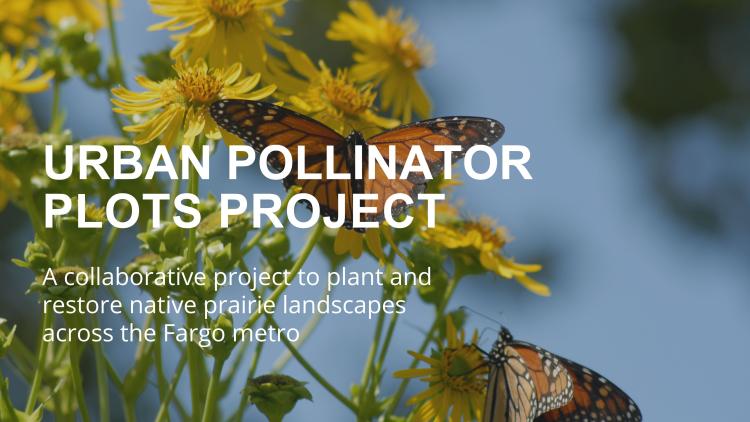 Urban Pollinator Plots Project Headers Picture of a butterfly on a yellow flower with white text that says Urban Pollinator Plots Project in white text.