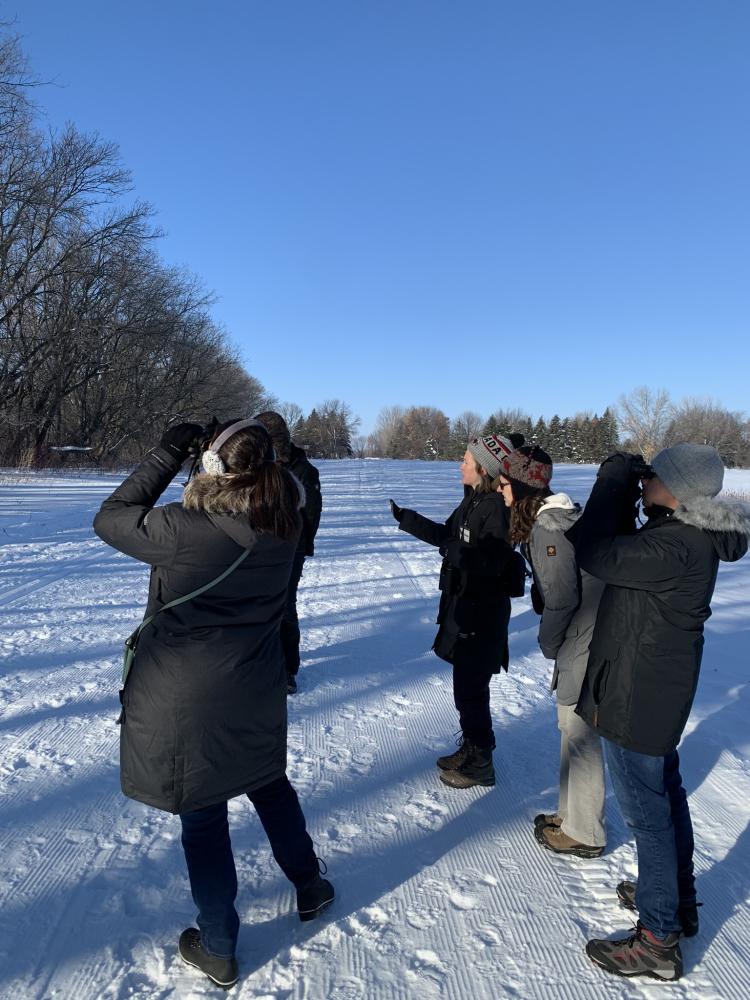 4 people bundled up in winter gear standing outside on a snow path in a field looking up at trees. One woman and a moan with binoculars up at their eyes looking through them.
