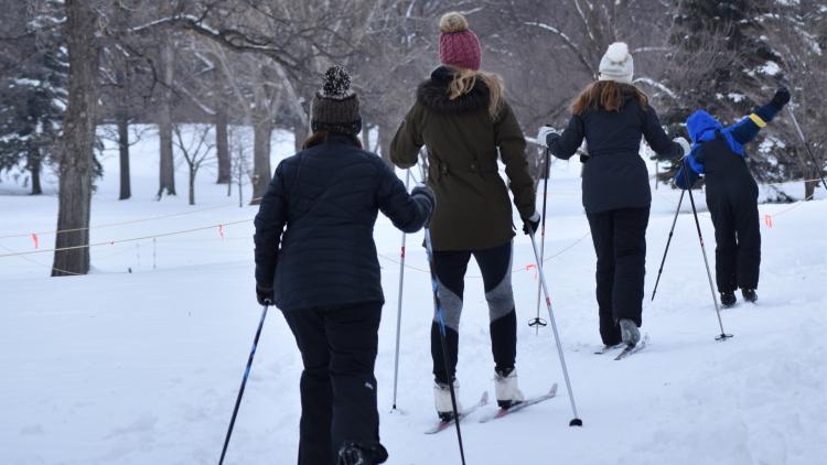 4 people with their backs to the camera in winter gear using cross country skis and poles lined up along a cross country ski trail.