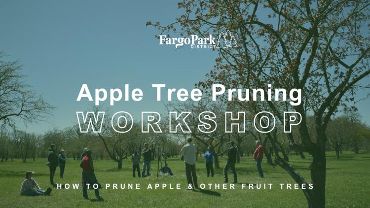 Image in the background is people standing and sitting in an orchard with many barely flowering trees, then over the picture is the Fargo Park District logo, Apple Tree Pruning Workshop - How to prune apple & other fruit trees