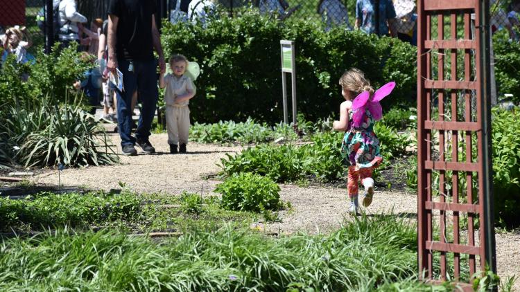 A gravel path winds through a lush garden, providing a walking route between planted garden beds as children and families explore the area.