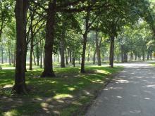 This image shows the recreational trail at Oak Grove Path.