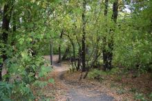 This image shows the Iwen Park mountain bike trail.