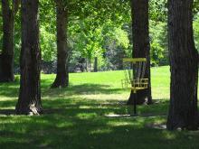 This image shows disc golf at Trollwood Park.
