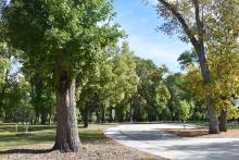 This image shows a walking path at Lindenwood Park