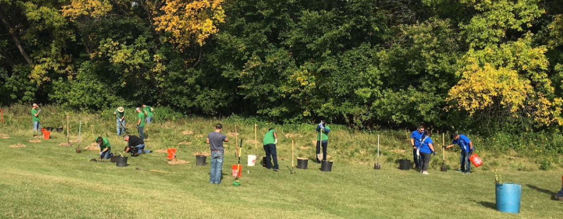 This image shows people planting trees at Reforest the Red. 