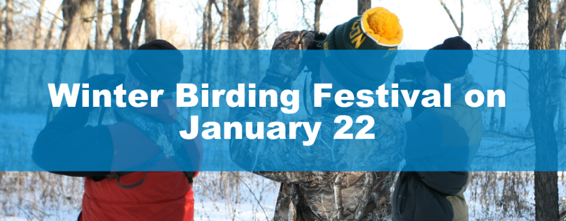 This image shows a graphic of winter birding festival. 