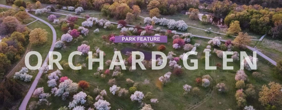 Picture of Orchard Glen Park in the spring with text in a purple box that says Park Feature Orchard Glen