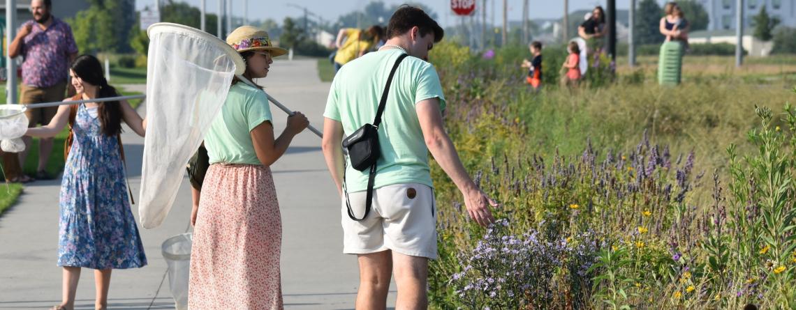 Participants with butterfly nets search for monarch butterflies along the bike path at urban plains park