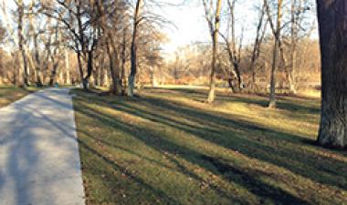 This image shows the trail at Trefoil Park.