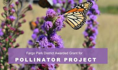 Picture of a butterfly on purple flower with a purple box and white text that says "Fargo Park District Awarded Grant for Pollinator Project