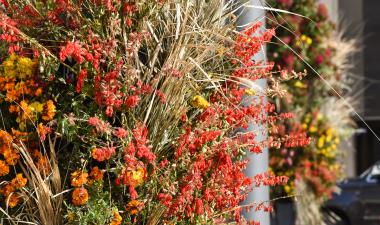 This image shows a fall floral installation on a light pole at broadway square