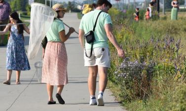 Participants with butterfly nets search for monarch butterflies along the bike path at urban plains park