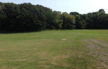 This image shows the grassy area of Holm Park.