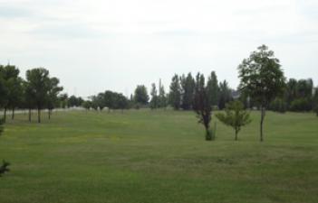 This image shows the large grassy area at Meadow Creek Park.