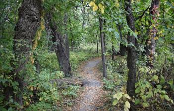 This image shows the Iwen Park mountain bike trail.