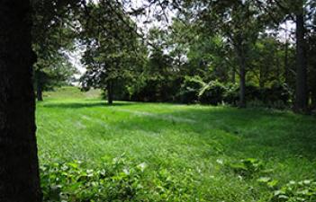 This image shows the grassy area at VA Hospital Park.