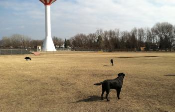 This image shows Yunker Farm Dog Park.