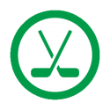 This image shows a hockey icon