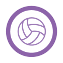 This image shows an icon of volleyball