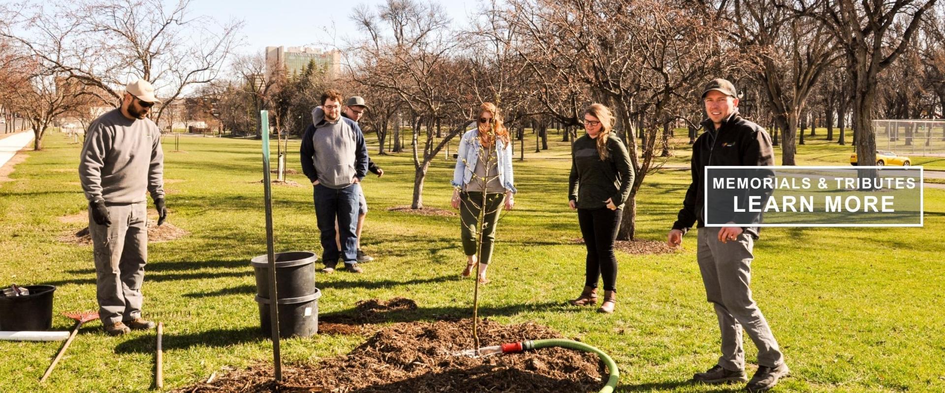 This photo shows people planting a tree at Island Park