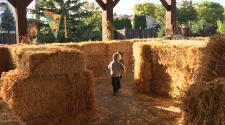 This image shows the straw bale maze at Fall in Fargo.