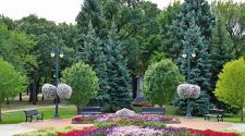 This image shows a memorial garden at Island Park.