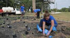 Photo shows volunteer planting flowers.