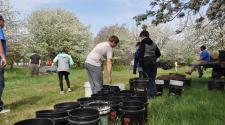 This image shows kids picking up pails of water for their trees. 