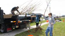 This image shows kids taking trees off the truck. 