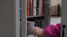 This image shows a little girl grabbing a book from the Little Free Library.